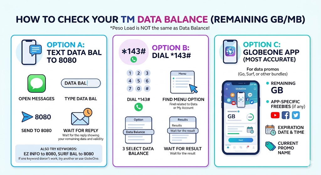 TM data balance inquiry